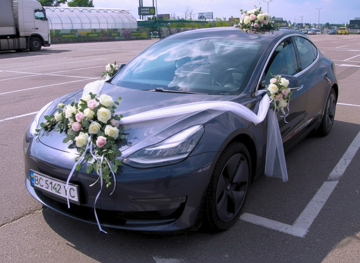 Авто на весілля Tesla Model 3 — логотип