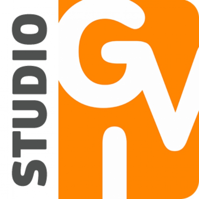 Весільна відеозйомка "GVI studio" — логотип
