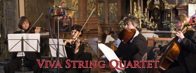 Viva String Quartet — логотип