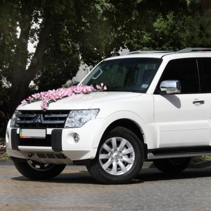 Весільний кортеж Mitsubishi Pajero Wagon — логотип