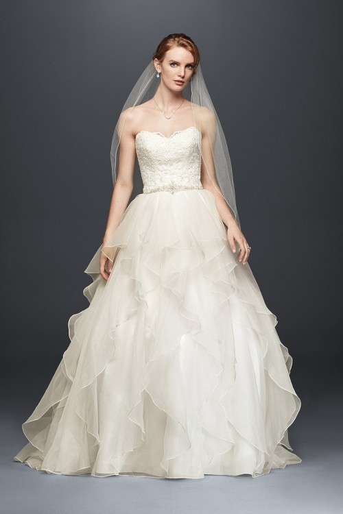 WG3830 — David's Bridal