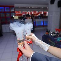 Аніматори Вінниця