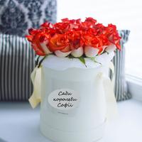 Сади королеви Софії