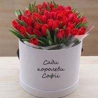 Сади королеви Софії