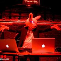 Dj Mad Rabbit