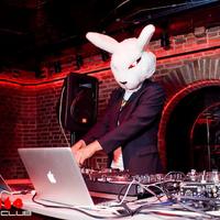 Dj Mad Rabbit