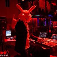 Dj Mad Rabbit