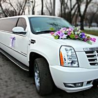 Аренда прокат на свадьбу VIP автомобилей