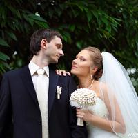 Свадебный фотограф в Житомире