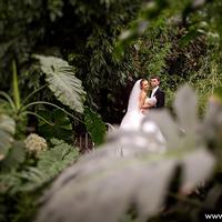 Свадебный фотограф в Житомире