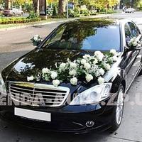 UAuto ZP - Авто на весілля з водієм