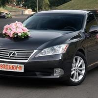 NikolaevAuto авто на свадьбу с водителем