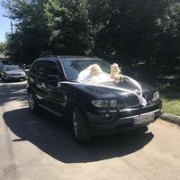 Свадебный кортеж