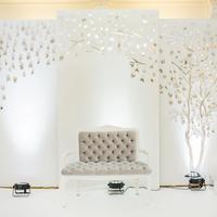 Eva decor studio