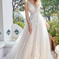 DIONA