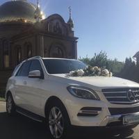Прокат святкових авто