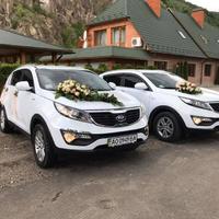 Wedding_auto_mukachevo