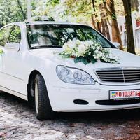 Весільні авто від VIP-avtosvadba