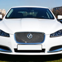 124 Jaguar XF белый 2014 аренда