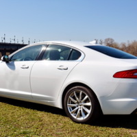 124 Jaguar XF белый 2014 аренда