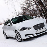 124 Jaguar XF белый 2014 аренда