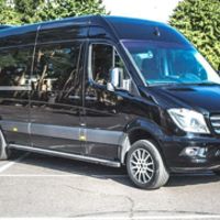 181Mercedes Sprinter чорний vip 12 місць