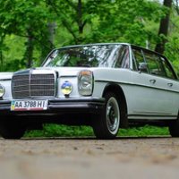 210 Ретро автомобиль Mercedes 1969 аренд