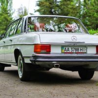 210 Ретро автомобиль Mercedes 1969 аренд