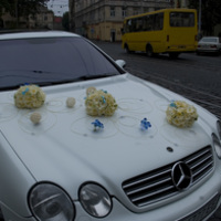 Прикраси на автомобілі у Львові