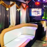 064 Party Bus Golden Prime пати бас