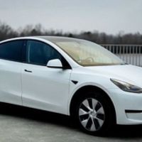 033 Tesla Model Y біла прокат