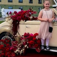 195 Кабриолет ретро Steyr аренда