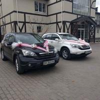 Свадебный кортеж из Honda CR-V