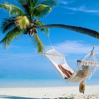 Maxx Travel