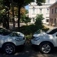 Nissan Qashqai Тернопіль