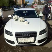 Audi A5  на весілля