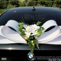 Wedding cortege