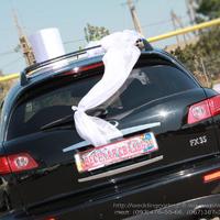 Wedding cortege