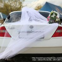 Wedding cortege