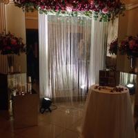 Wedding planning & decor Iryna Boyko