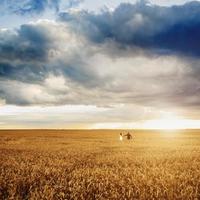 Андрій Медведюк - професійний фотограф