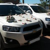 Свадебный кортеж Toyota RAV4 2023 г.в.