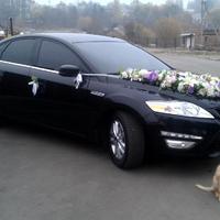 ВЕСІЛЬНИЙ КОРТЕЖ  FORD MONDEO