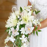 Elegant wedding agency