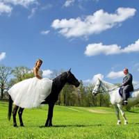Кареты для свадьбы „Золотые лошади”