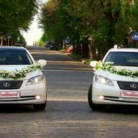 Автомобиль на свадьбу в Донецке, белый  Lexus от 2