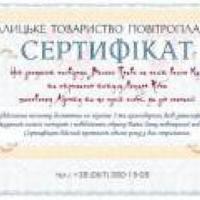 Повітряна куля на весіллі