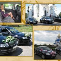 Skoda Superb (черные) свадебный кортеж. (г. Сумы)