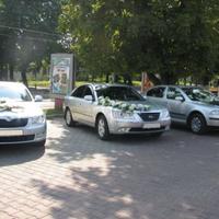Свадебный кортеж