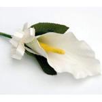 Агенство "Омела" Агенство "Омела"